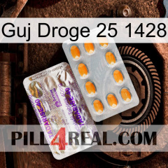 Guj Drug 25 1428 new12